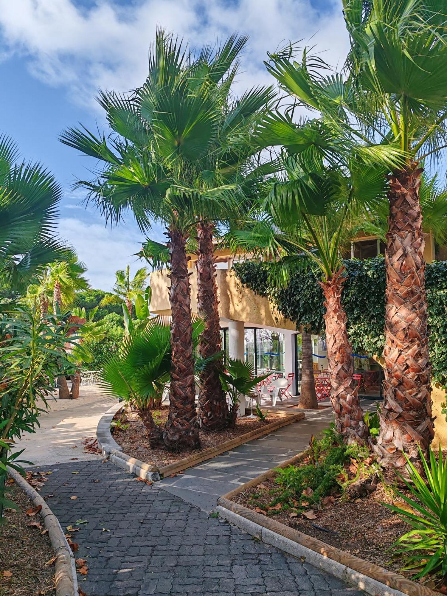 Residence Agathea Agde Exterior foto